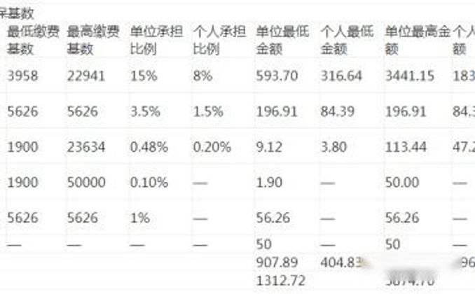 2022年佛山社保個人繳費明細表 - 娛樂 - iNewsDB 日日新聞.掌握每日新鮮事