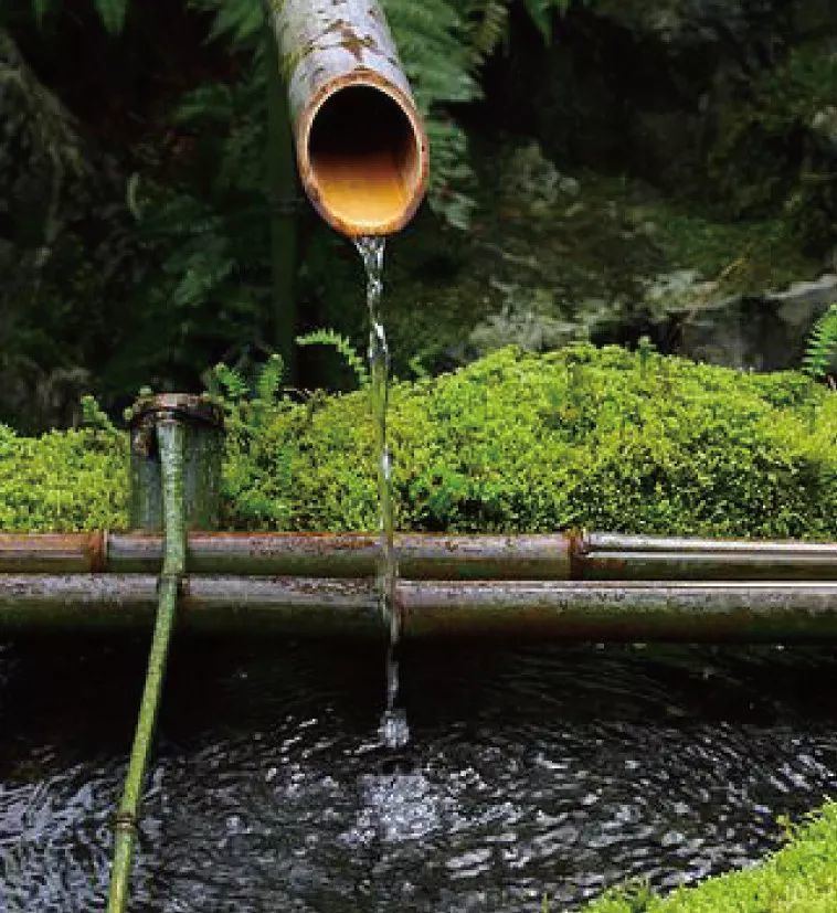 京都坪庭世界上最小的庭院
