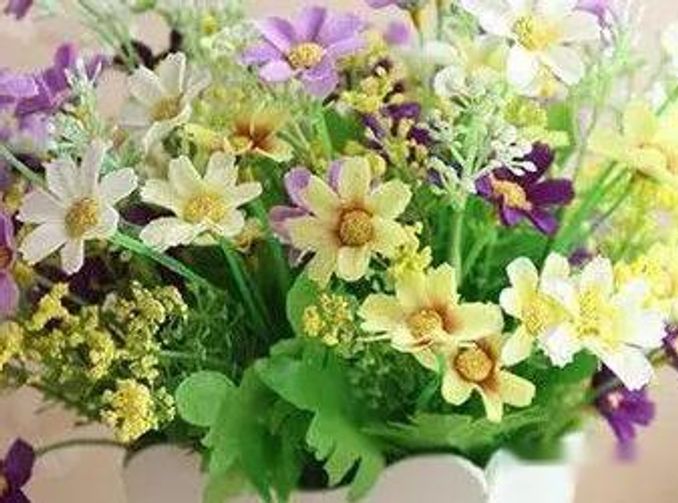 星座幸運花和旺財花 星座幸運花和旺財花