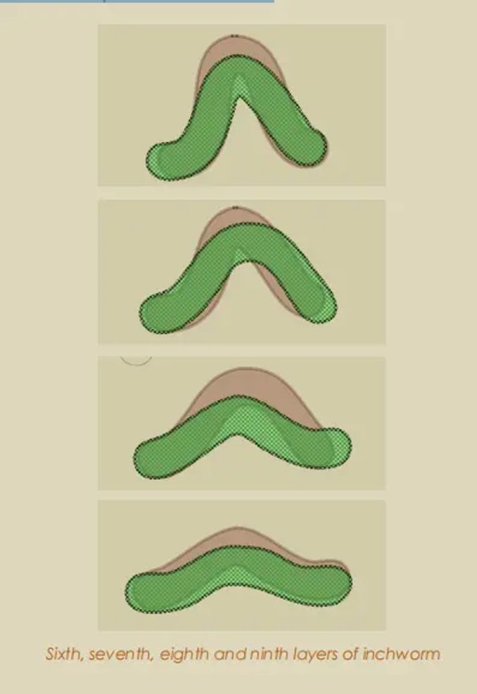 moho Tutorial 5.10 Using Frame by Frame Layers for Animation