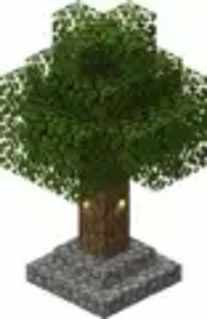 Minecraft植物百科 橡樹