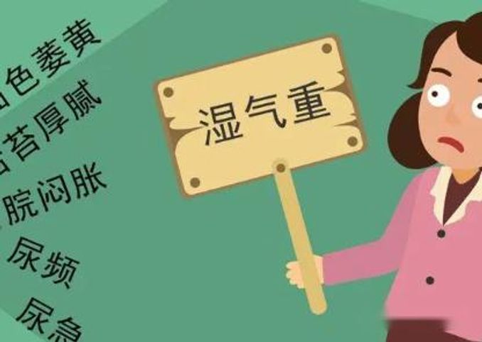 溼氣重怎麼看出來 - 健康 - iNewsDB 日日新聞.掌握每日新鮮事
