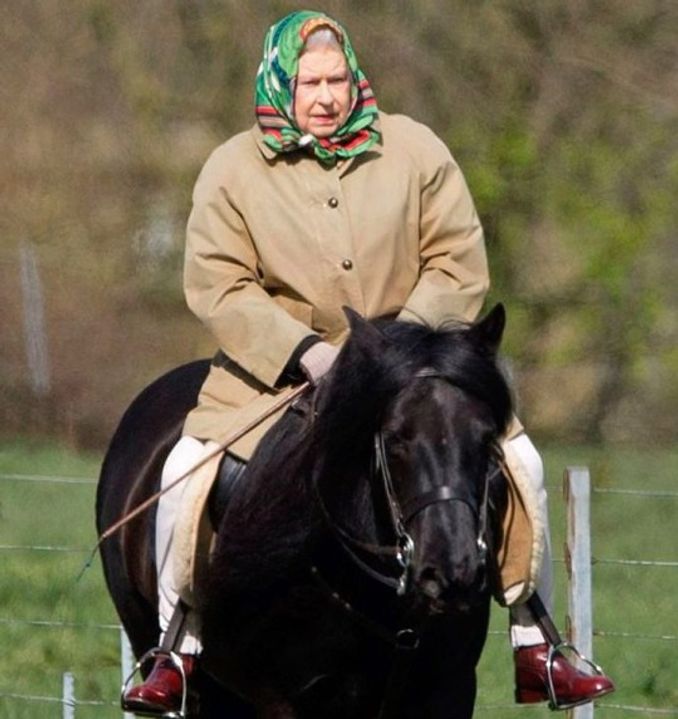 女王騎20年愛馬國喪禮上悲痛「頓足」 最後騎馬身影曝