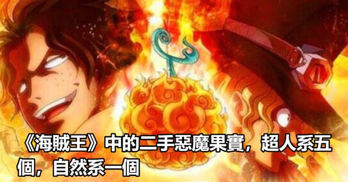 海賊王 中的二手惡魔果實 超人系五個 自然系一個